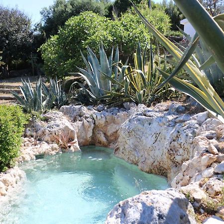 Albergo"Villa Biscotti" Peschici Exteriér fotografie